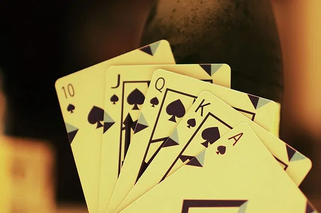 Transflux Playing Cards - image 2