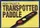 Transpotted Paddle