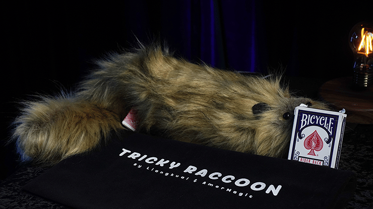 Tricky Raccoon - thumbnail 2