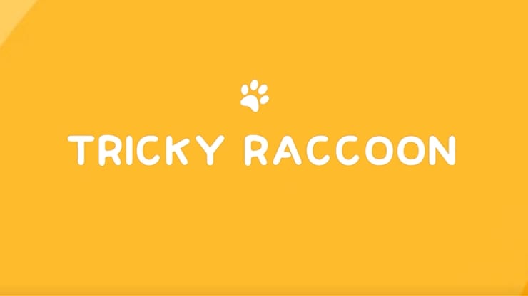 Tricky Raccoon - image 1
