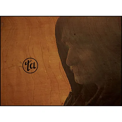True Astonishments - image 1