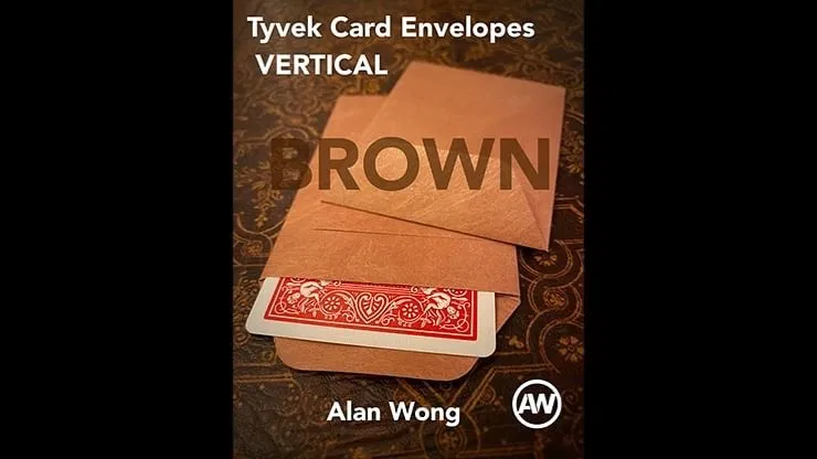 Vertical Tyvek Envelopes - image 2