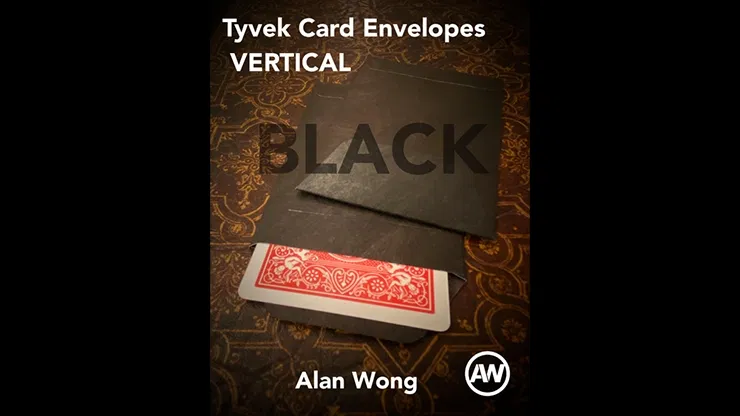 Vertical Tyvek Envelopes - image 1