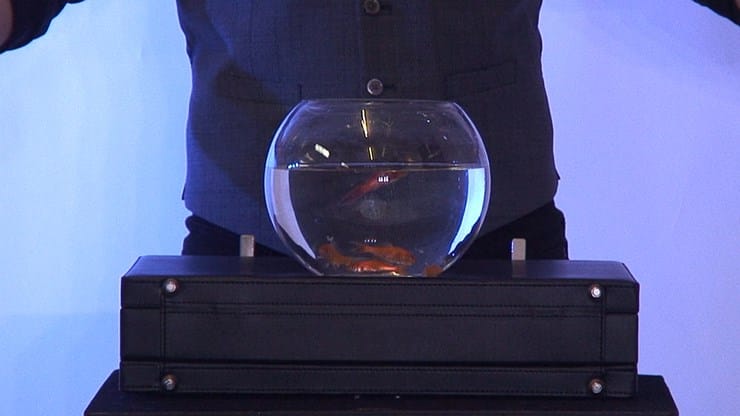 Ultimate Bowling Ball from Briefcase - thumbnail 2