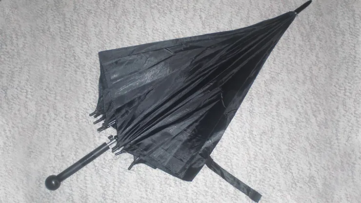 Umbrella Card Sword - image 1