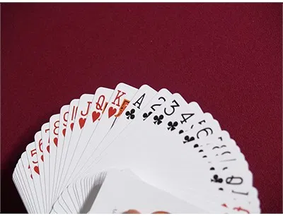 Unicorn Playing Cards (Copper Edition) - image 3