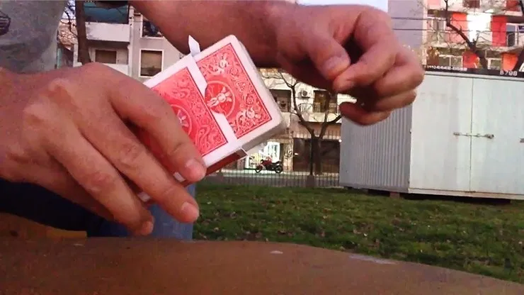 UP - image 3