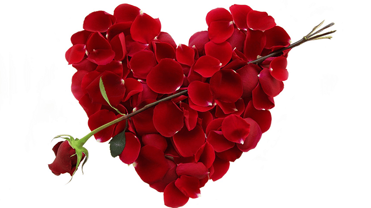 Valentine Intimacy Touch