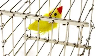 Vanishing Bird Cage