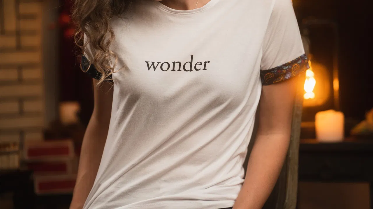 Vanishing Inc. Limited Edition "Wonder" T-shirt - image 3