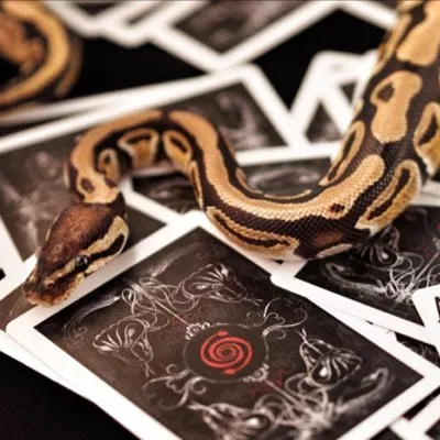 Venom Deck - image 2