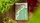 Verdana Playing Cards - image 1