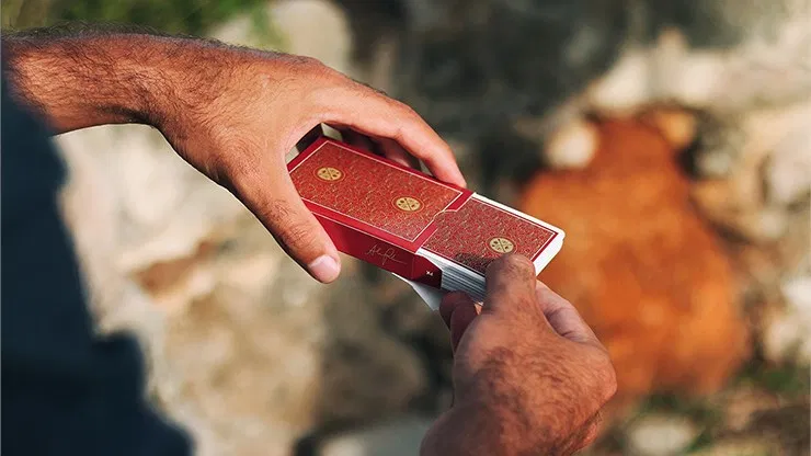 Visa Playing Cards - image 2