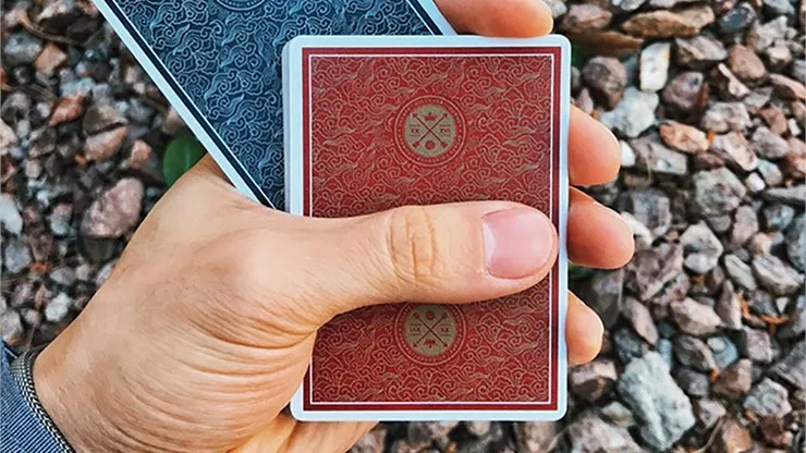Visa Playing Cards - image 6