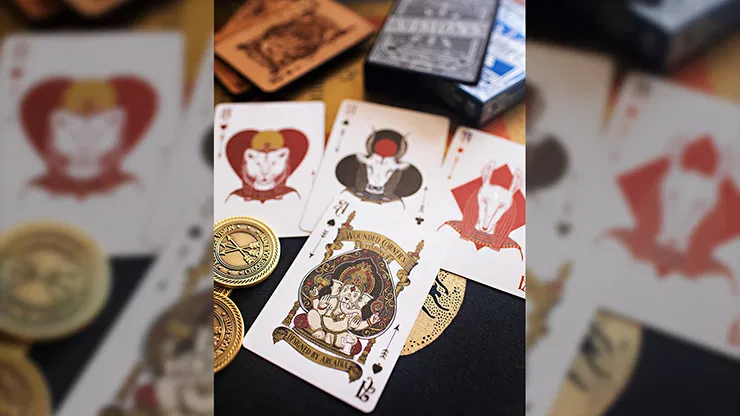 Visions Present Playing Cards - image 3