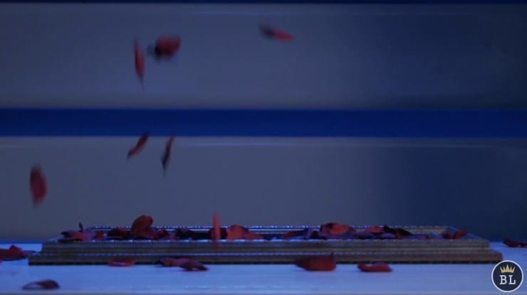 Visual Matrix (The Rose Act)