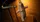 Voodoo - image 5