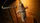 Voodoo - image 2