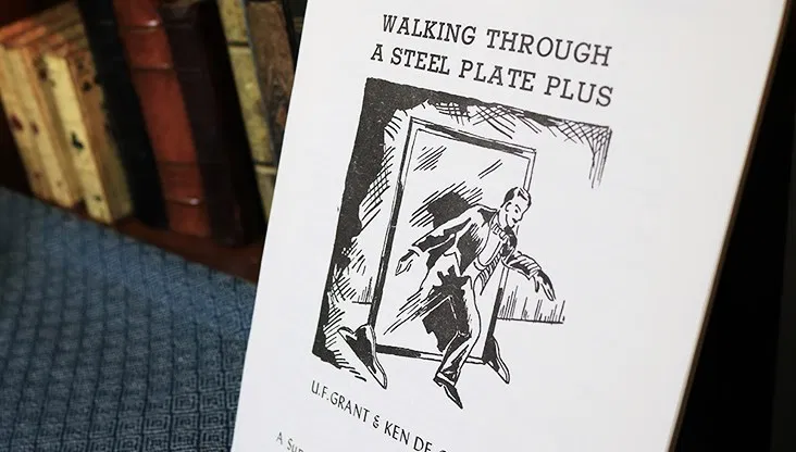Walking Through a Steel Plate PLUS - image 3
