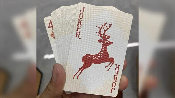 WANQUAN Playing Cards - image 3