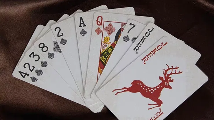 WANQUAN Playing Cards - image 4