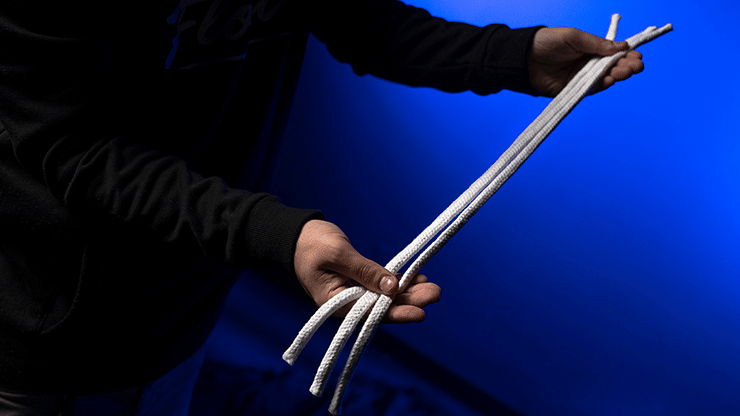 WGM Professor's Nightmare Deluxe Set