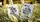 Wheel of the Year Beltane Playing Cards - image 4