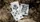 Wheel of the Year Lughnasadh Playing Cards - image 3