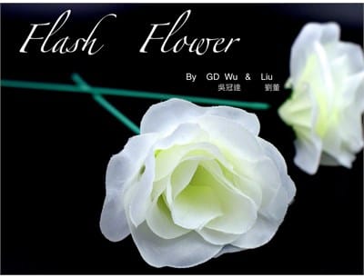 White Flash Flower - image 1