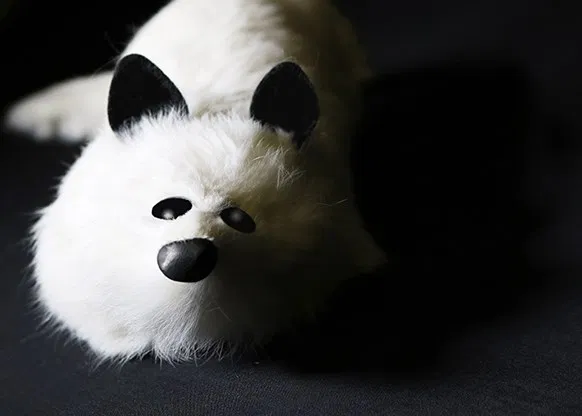 White Fox Spring Animal - image 6