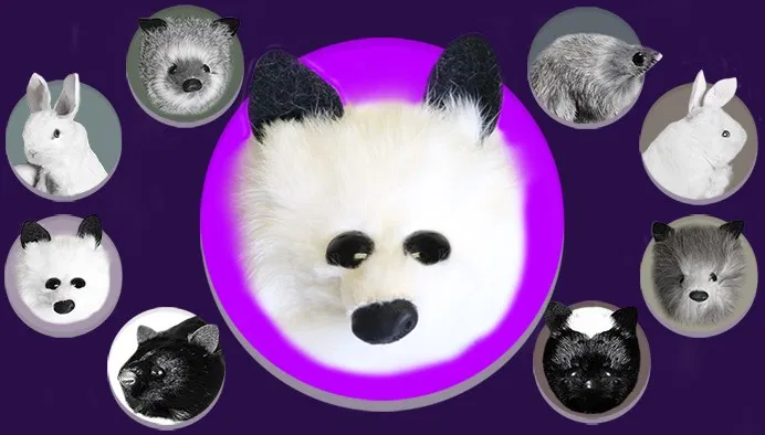 White Fox Spring Animal - image 1