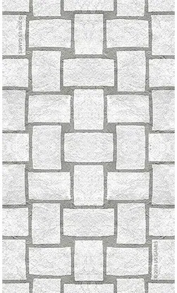 White Sage Tarot Cards - image 2