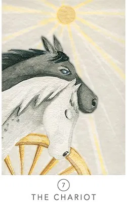 White Sage Tarot Cards - image 3