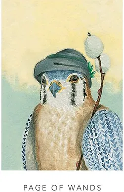 White Sage Tarot Cards - image 6