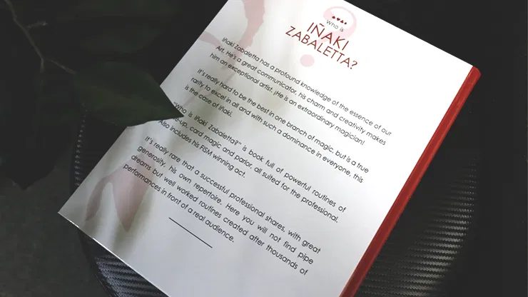 Who is Iñaki Zabaletta? - image 6