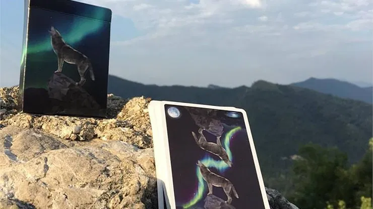 WILD Playing Cards - image 2