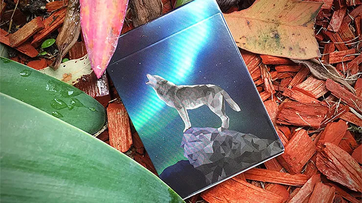 WILD Playing Cards - image 1