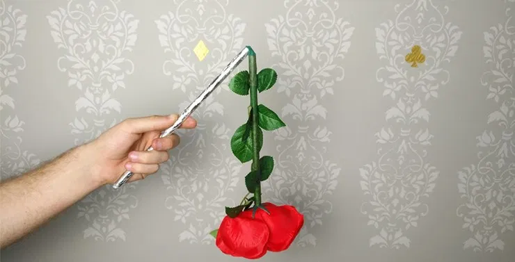 Wilting Rose - image 3
