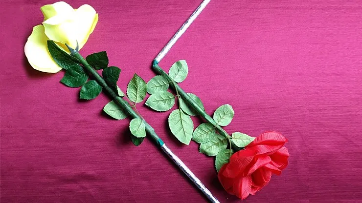 Wilting Rose - image 4