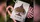 Wonka Playing Cards - image 2