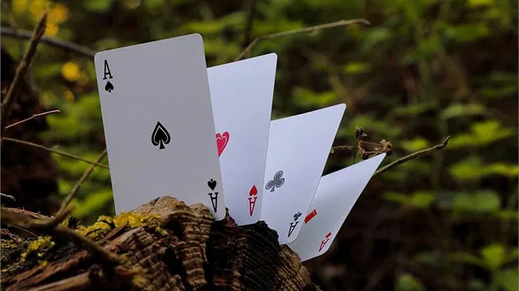 Wood Element Playing Cards - image 4