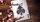 Wooden Leaves Summer Playing Cards Box Set - image 5