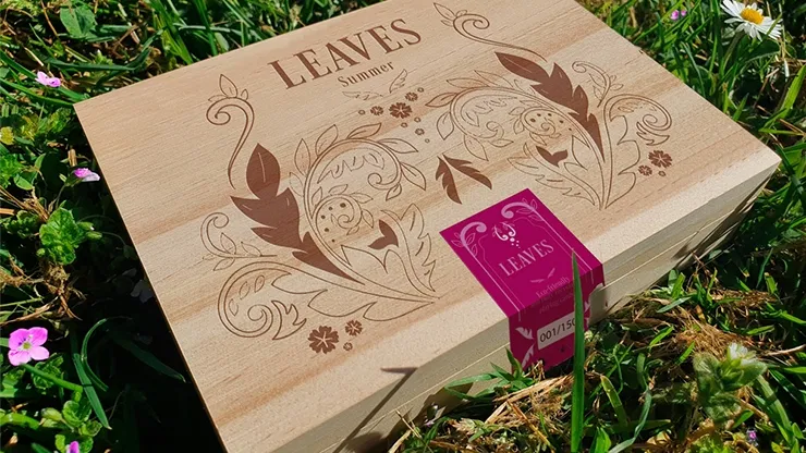 Wooden Leaves Summer Playing Cards Box Set - image 1