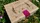 Wooden Leaves Summer Playing Cards Box Set - image 1