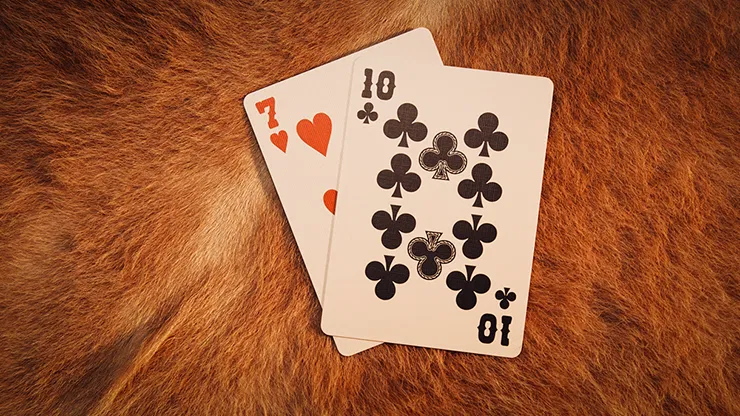 Bicycle Wranglers Playing Cards - image 5