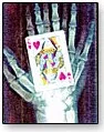 X-Ray Box