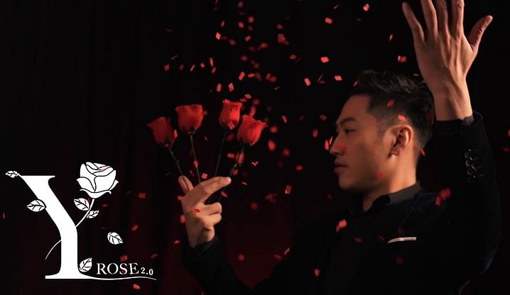 Y-Rose 2.0 - magic