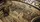 Yellowstone Jigsaw Puzzle - image 4