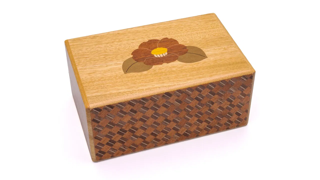 Japanese Puzzle Boxes - image 7