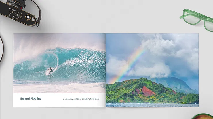 Zandman's Hawaii - image 2